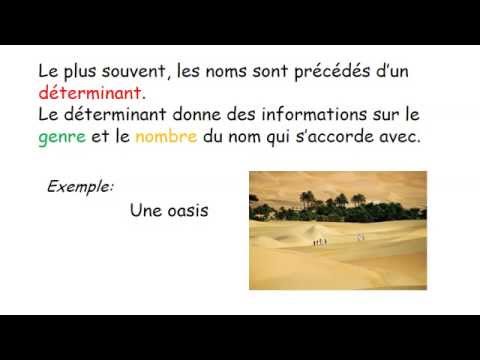 le déterminant CM1