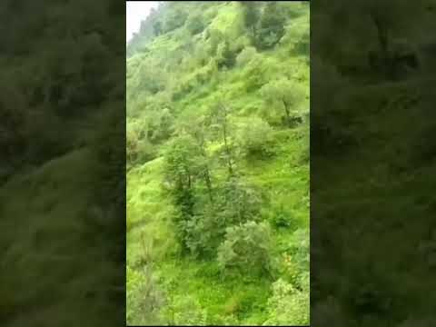 beautiful scenery please subscribe my channel 🌹🌹 tanzeel k blogging