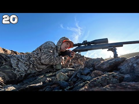 Blacktail Rut Hunt in the High Country | OR Blacktail Hunt (Part 2/2)