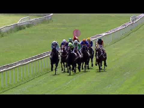 Frauenfeld/26.05.2019/Preis Partner & Freunde des Turf Club Frauenfeld