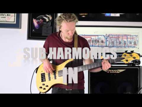 Ashdown ABM EVO IV - Toska 'Chasm' bass playthrough