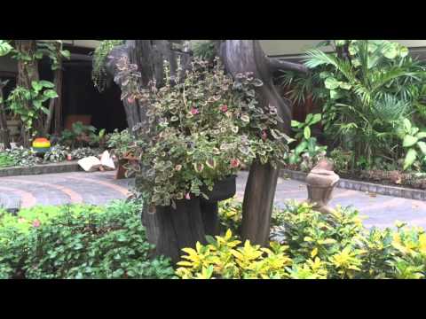 Quiet Resort style Apartment in the Heart of Bangkok