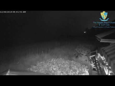 download lagu mp3 mp4 Nice Naples Streaming, download lagu Nice Naples Streaming gratis, unduh video klip Nice Naples Streaming