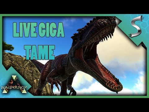 LIVE GIGA TAMING WITH JIMBOB ON RAGNAROK!
