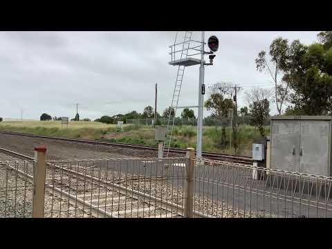 V/Line 3VL05, 3VL64 Arriving At Corio Station
