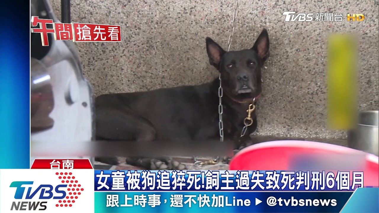 女童被狗追猝死！飼主過失致死　判刑6個月