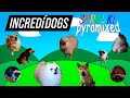 INCREDIDOGS SPRUNKI PYRAMIXED