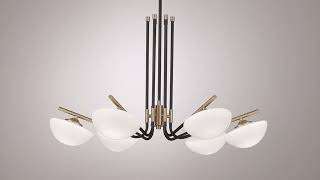 1_Watch A Video About the Possini Euro Maximus Soft Gold 6 Light Shade Chandelier