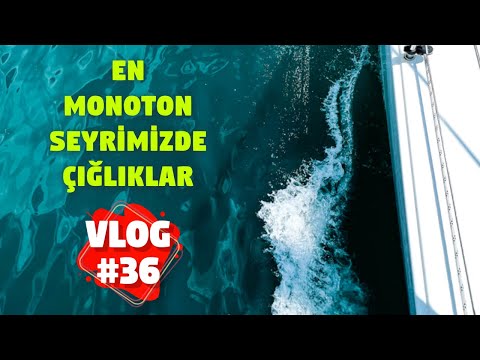 En monoton seyrimizde çığlıklar kopuyor! Bölüm #64