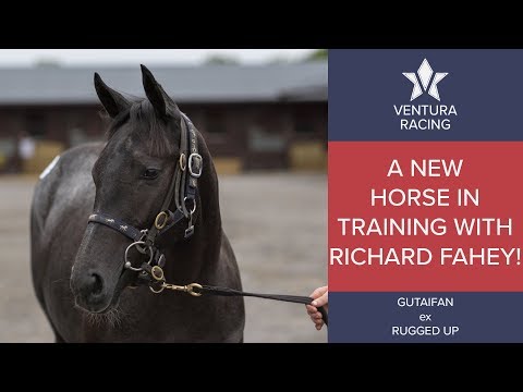 Gutaifan ex Rugged Up