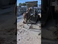 poulain Paint Horse 