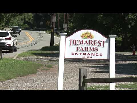 Big Apple Film Festival