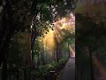 Kuch Bhi Nahi Jab Darmiyaan Heart Line Tranding Short Viral Song Sad Hindisong Shorts Cover