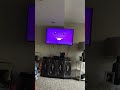 Closing To Blues Clues Blue S Big Musical Movie 2000 VHS