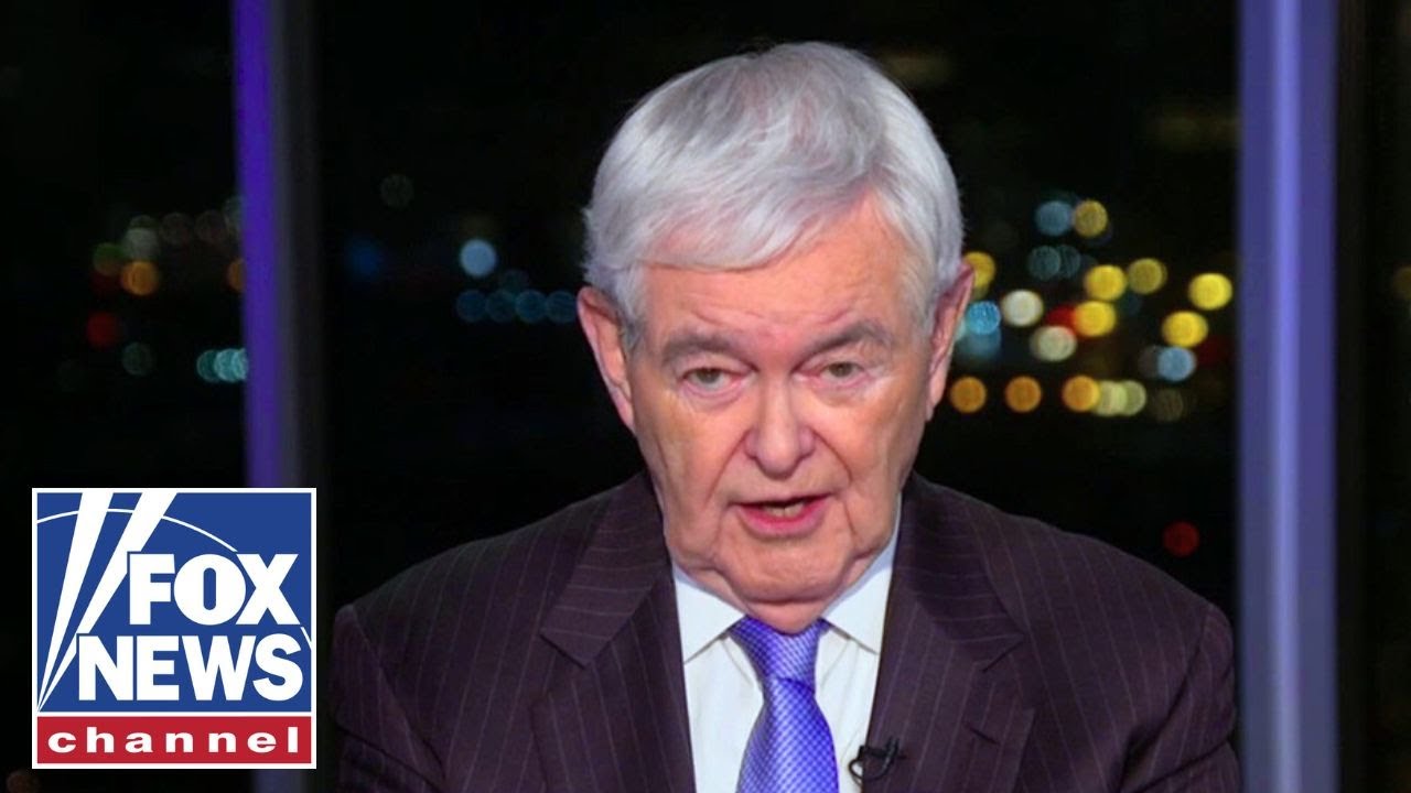 Newt Gingrich has a message for Europe...
