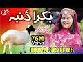 Eid Ul Adha Special Kalam Ding Dong Bakra Dumba Huda Sisters Official