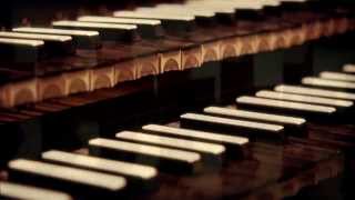 Four Rows of Jacks Video