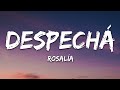 ROSALÍA - DESPECHÁ (Letra/Lyrics)
