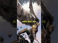 Hawkman's REINCARNATED Origin Story 💔 #shorts #dc