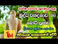 බුද්ධ වන්දනාව හා බෝධි පූජාව BUDDHA WANDANAWA HA Bodhi 