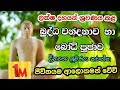 බුද්ධ වන්දනාව සහ බෝධි පූජාව budda wandanawa saha bodhi wandanawa...0750944