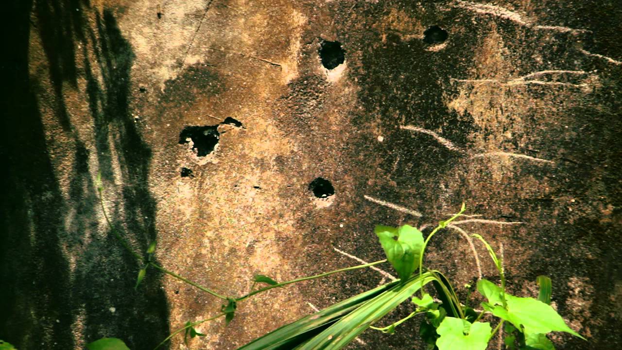 War is a Tender Thing | Trailer