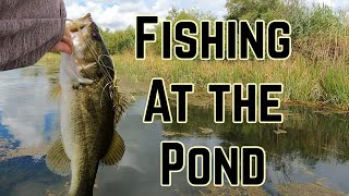 END of summer BASS FISHING