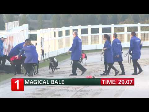 2018 STAR SPORT DERBY - ROUND 1 HEAT 22 - T1 MAGICAL BALE