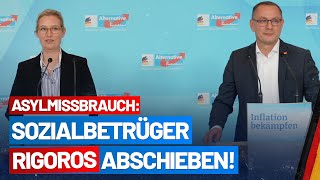 Presseerklärung von Alice Weidel und Tino Chrupalla - AfD-Fraktion im Bundestag