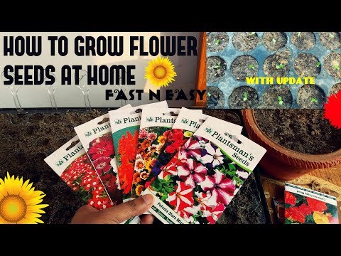 , title : 'How To Grow Flower Seeds Fast (With Update)'