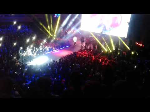 pepegrillo vs elemental ( replica)