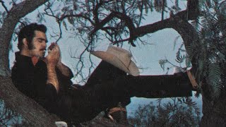 Download lagu Adios Mariquita Linda - Vicente Fernandez mp3