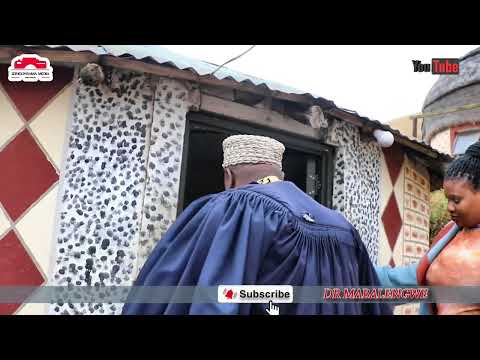 DR Mabalengwe ephakamisa izinyosi