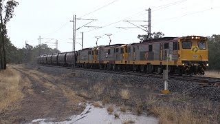 preview picture of video '35's in the rain : Australian Railways'