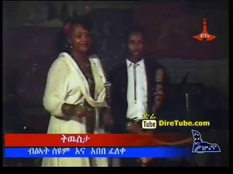 Bitshat Seyoum and Abebe Feleke