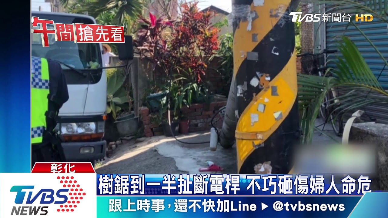 樹鋸到一半扯斷電桿 不巧砸傷婦人命危