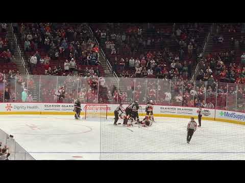 Brawl between Ducks Coyotes