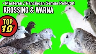 Download lagu Perkutut Majapahit Gacor,Cemani,Silver,Putih, Kalung Tepung, Krossing Manggung mp3 Download lagu Perkutut Majapahit Gacor,Cemani,Silver,Putih, Kalung Tepung, Krossing Manggung mp3