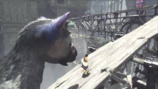 The Last Guardian Walkthrough PART 5 Don't FALL