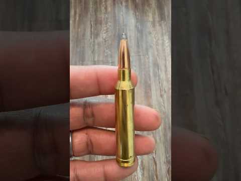 New 7MM King? 7MM Backcountry vs 7MM Rem Mag