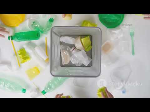 Sustentabilidade como Pilar