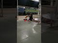 Railway Station Cctv Footage Short Ghost Cctv