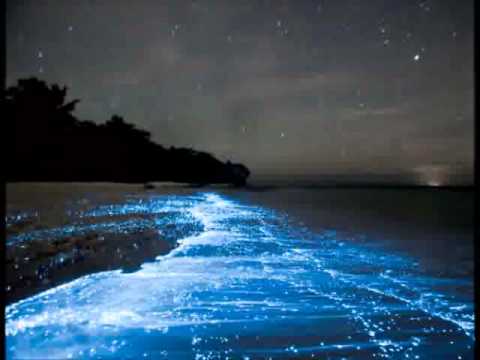 Interstate Techno | 149 | Alpha Wave Is Undulating Nicely