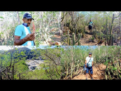 TRILHA NA CAATINGA, EXPLORANDO A BELEZA  PRESERVADA ,NO RIO PARAÍBA. 