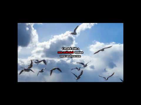 Giocando con il fagotto. Musica di Umberto Bassi