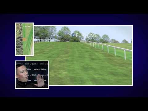 Frankie Dettori's Flyover of the Artemis Goodwood Cup