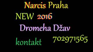 Narcis Praha_New___2016 * dromeha Džav Narcis Praha_New___2016 * dromeha Džav