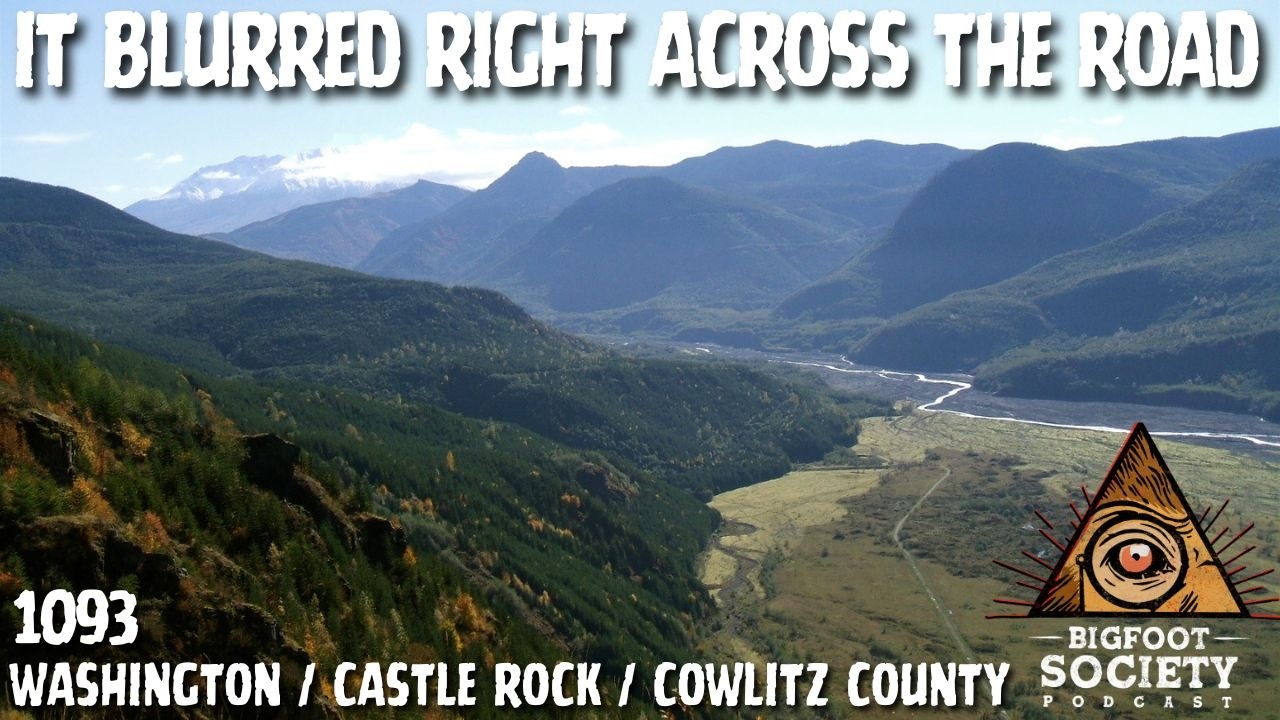 What We Saw on Tower Road Still Doesn’t Make Sense! | Washington