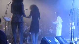 Danakil Zicalises 2008 La Lettre