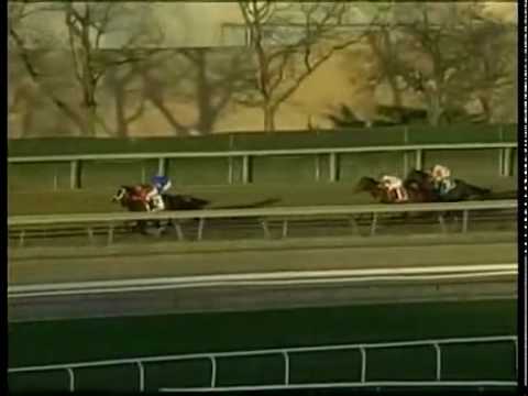 Godolphin Greats - 23 - DISCREET CAT - G1 HILL 'N DALE CIGAR MILE HANDICAP STAKES.mpg